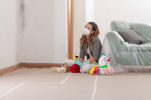 Reliable Mold Testing contractor in Emmitsburg, MD by WQB Mold Removal