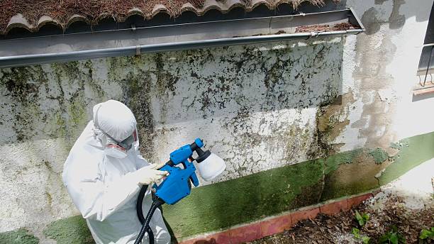 Top rated local Mold Testing specialists in Emmitsburg, MD